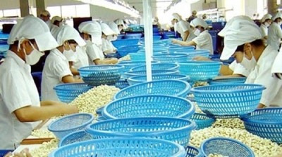 Vietnam’s active in FTA negotiations to boost farm produce exports  - ảnh 1
